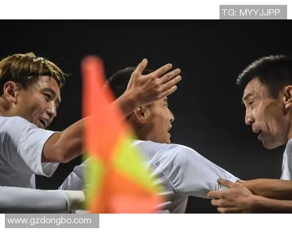 权威发布：2023年网球团队协作实力排行榜全面解析与深度分析