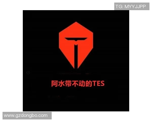 赛后复盘：RNG与TES对决中的战术意识与团队配合分析