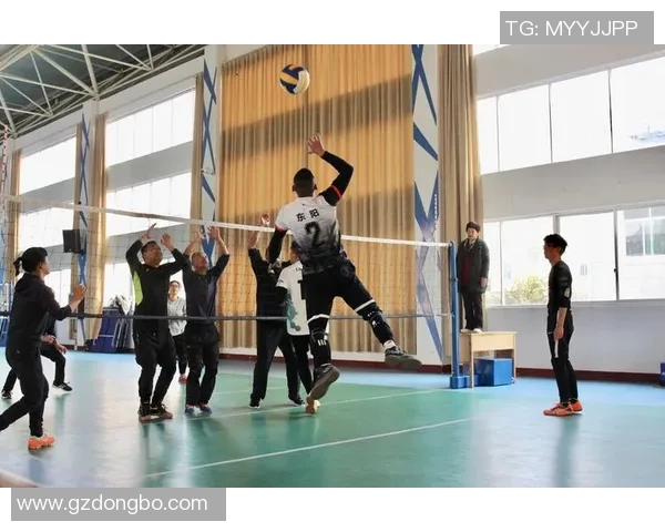 张丽独家分享排球心得与技巧助你提升球技的秘诀与经验