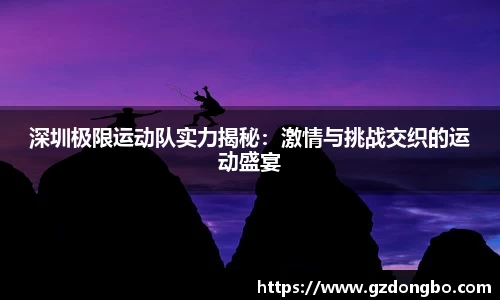 EVO视讯