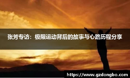 EVO视讯