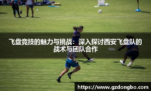EVO视讯