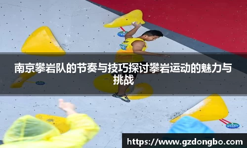 南京攀岩队的节奏与技巧探讨攀岩运动的魅力与挑战