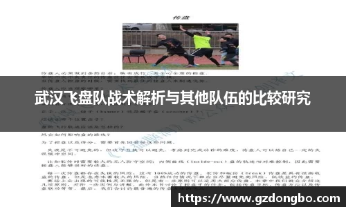 武汉飞盘队战术解析与其他队伍的比较研究