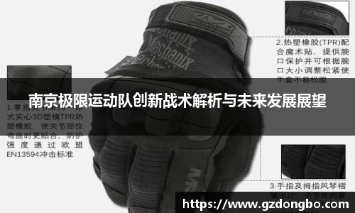 南京极限运动队创新战术解析与未来发展展望