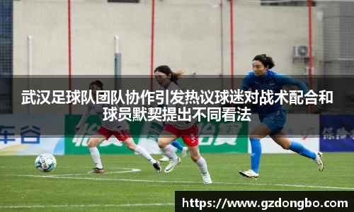EVO视讯官方网站