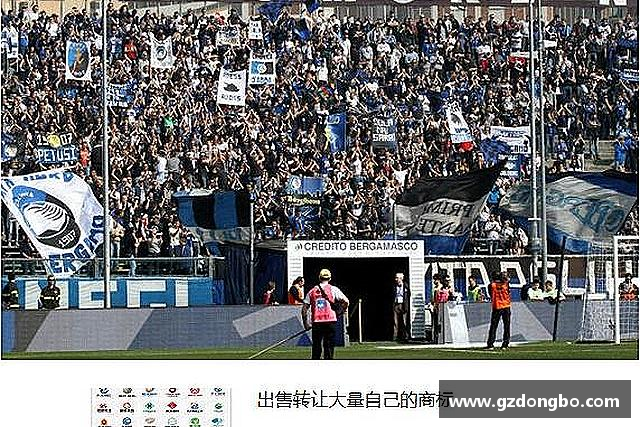 介绍bevictor伟德